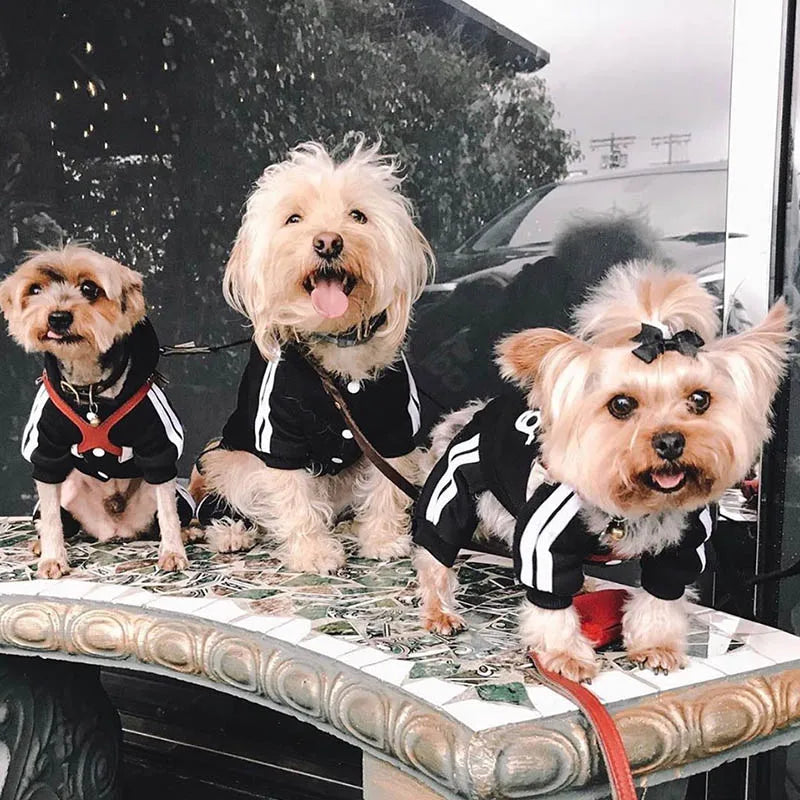 Cozy Sport Dog Hoodie