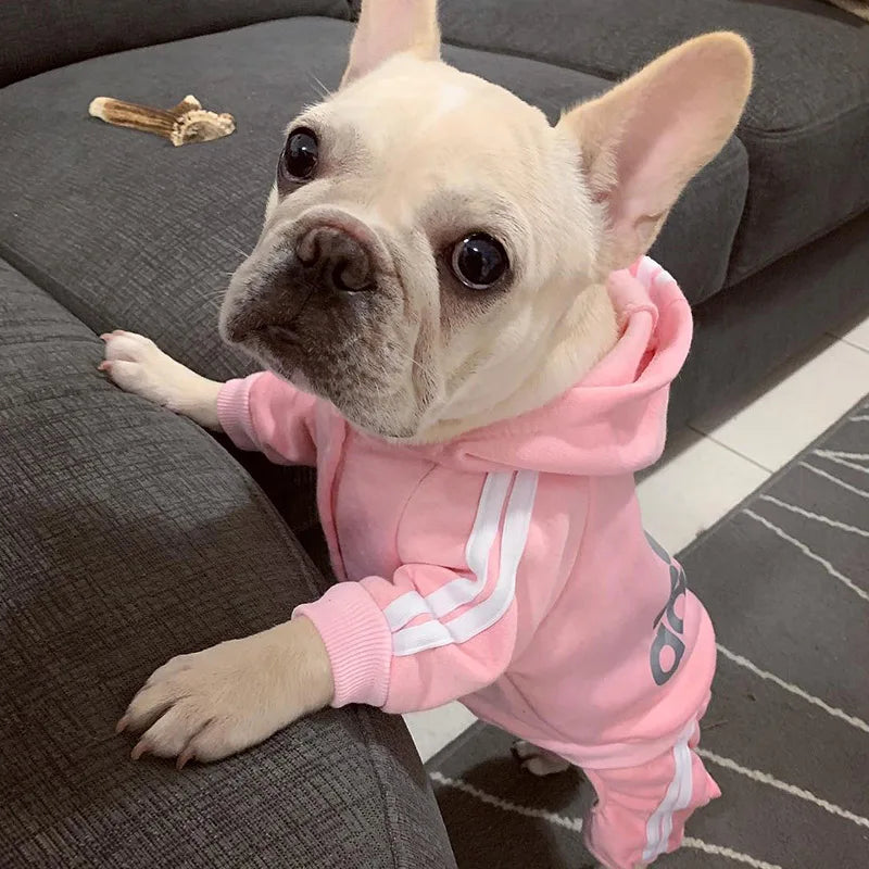 Cozy Sport Dog Hoodie