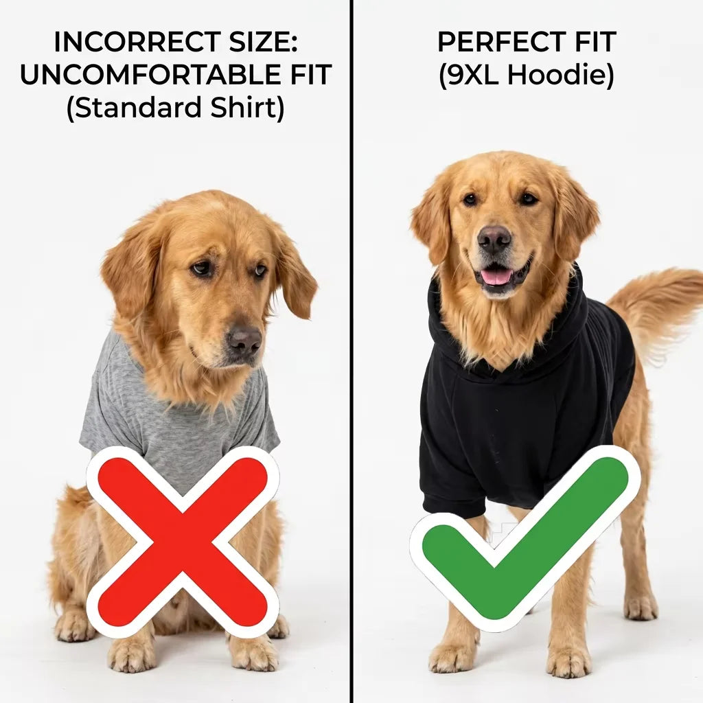 Everyday Cozy Dog Hoodie