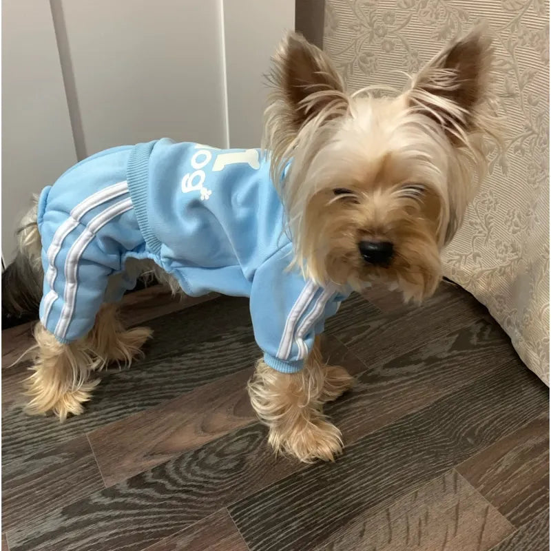 Cozy Sport Dog Hoodie