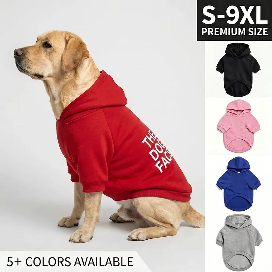 Everyday Cozy Dog Hoodie