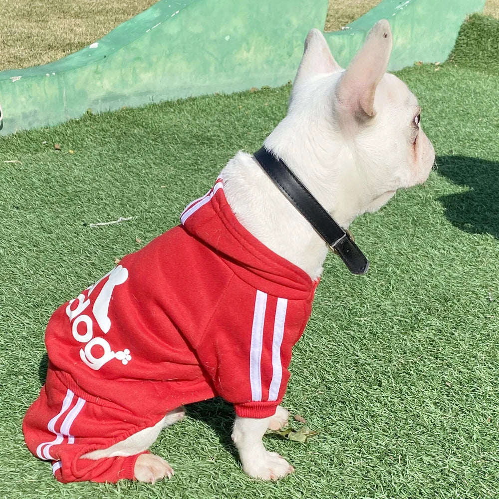 Cozy Sport Dog Hoodie